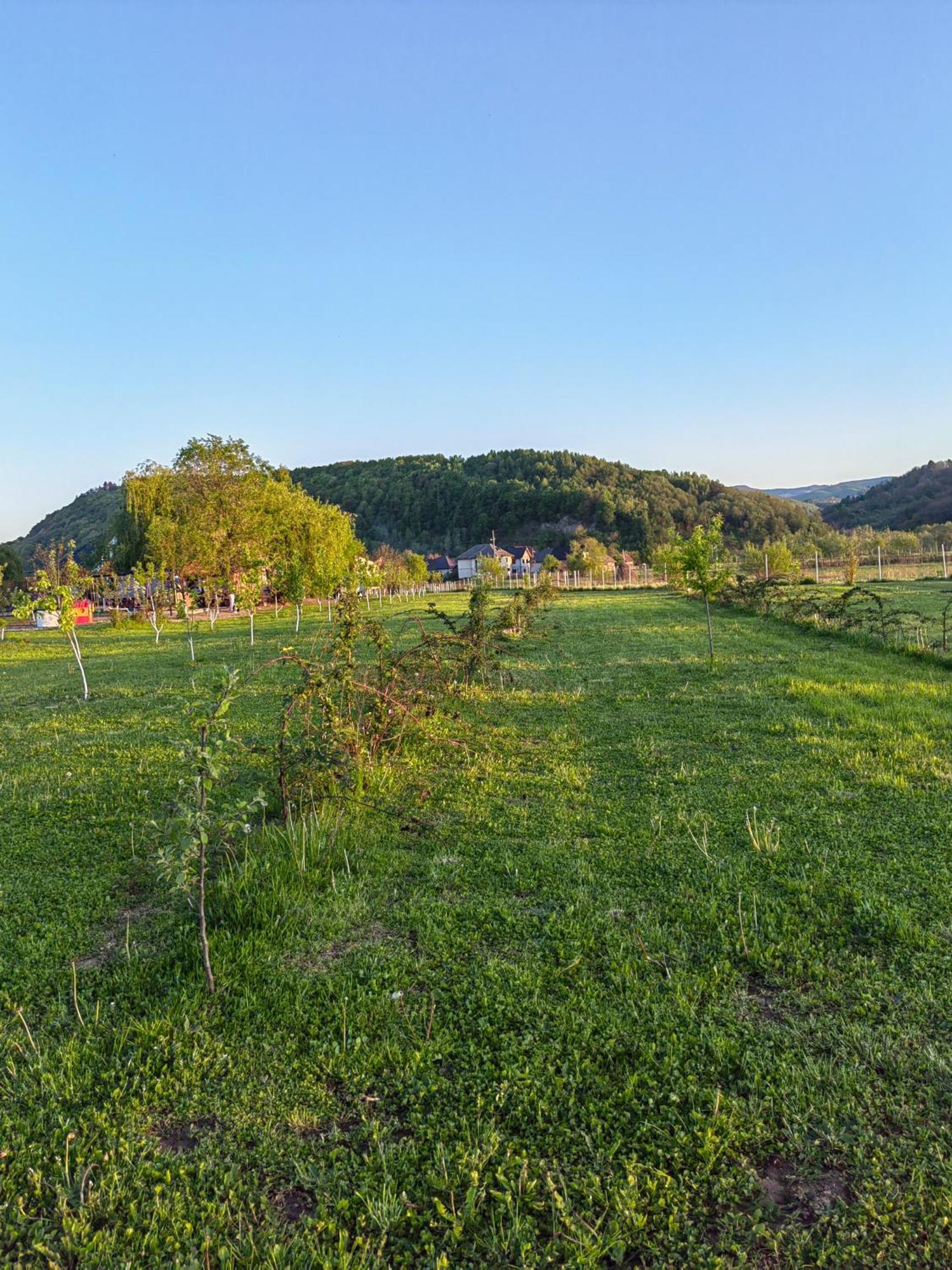 Casa Boila Hotel Barcánfalva Kültér fotó